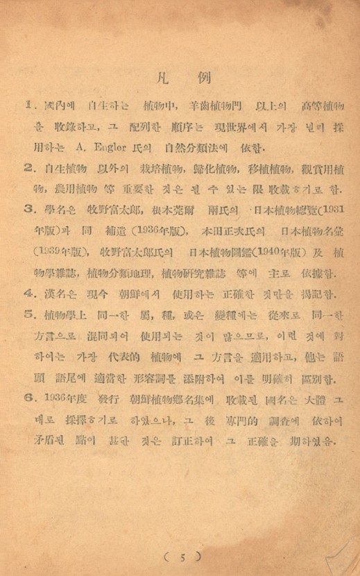페이지