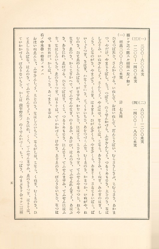 5페이지