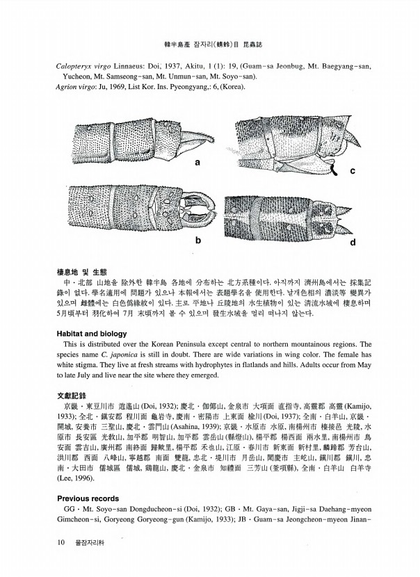 10페이지