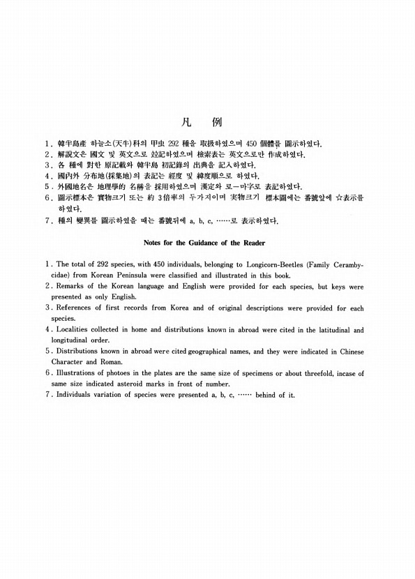 3페이지