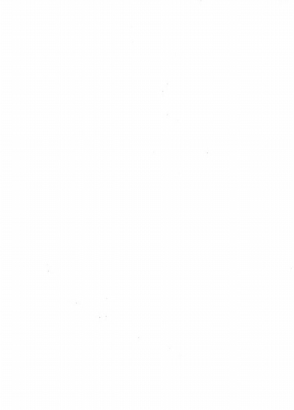 4페이지