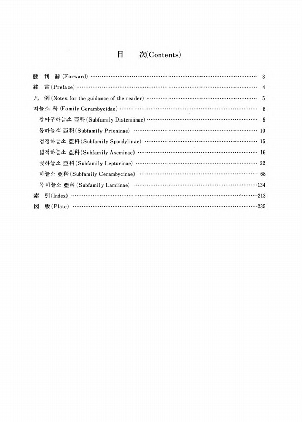5페이지