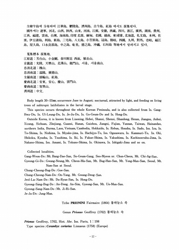 10페이지