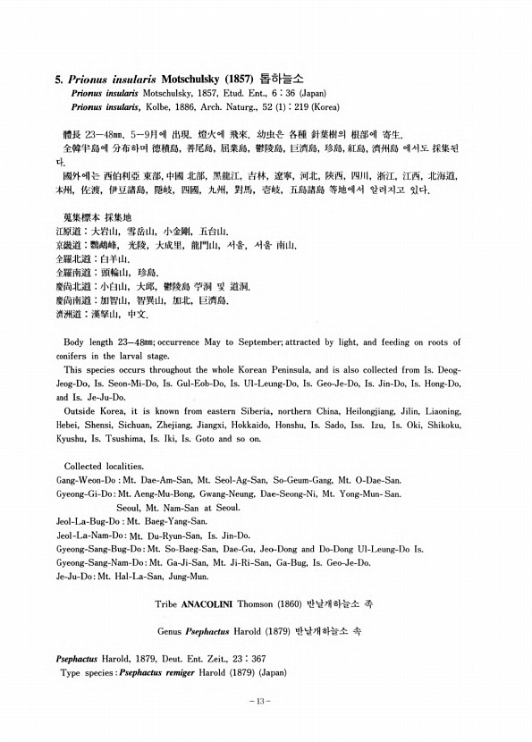 11페이지