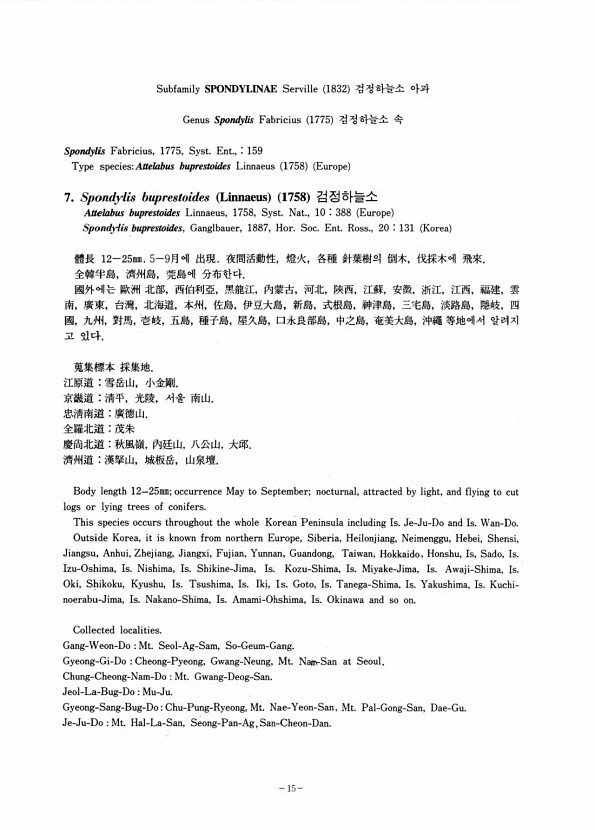 13페이지