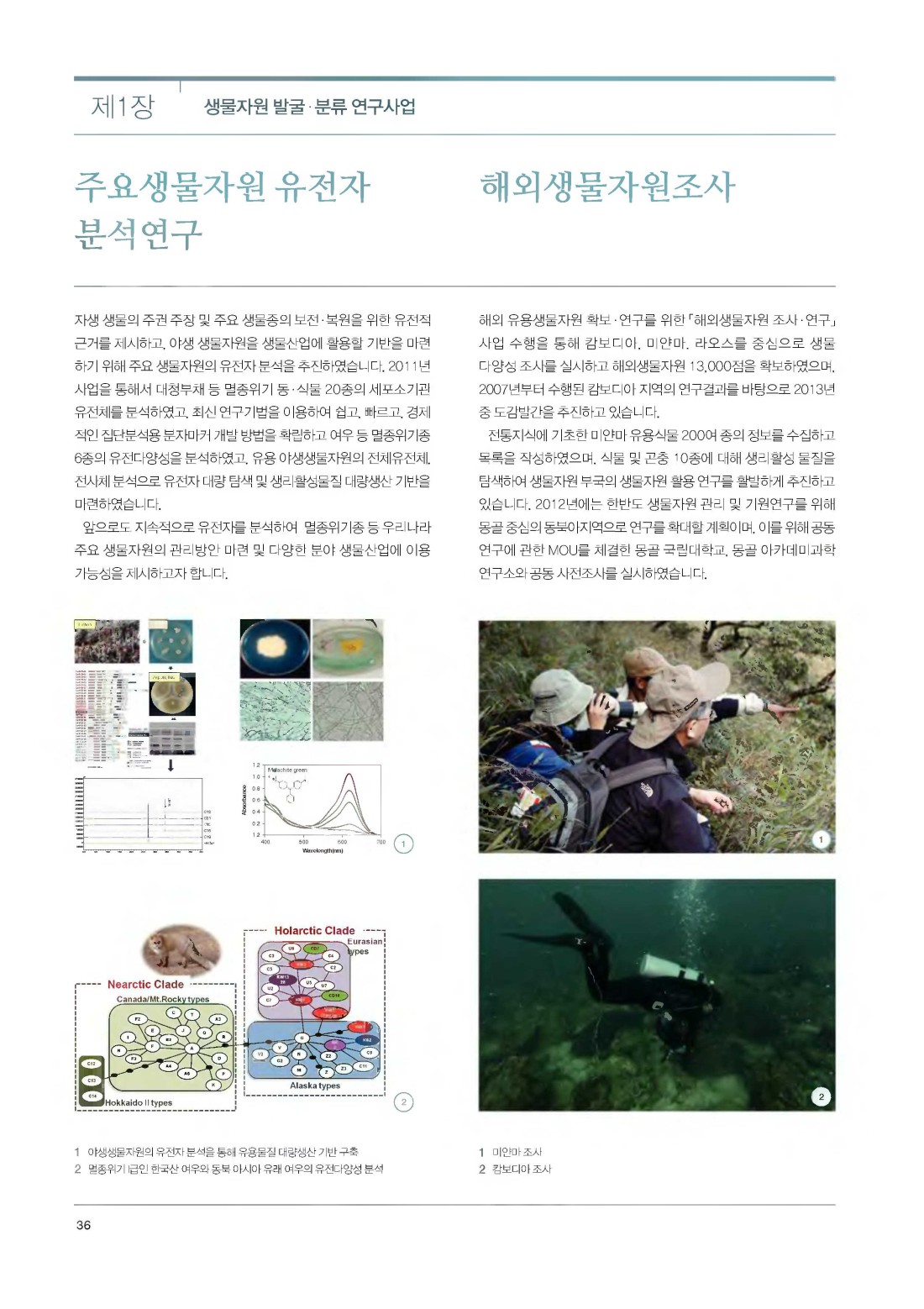 페이지