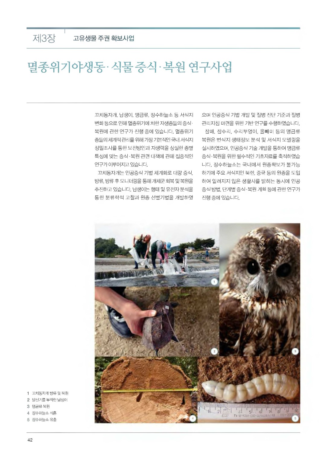 페이지