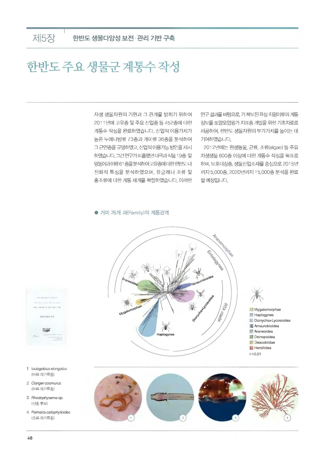 페이지