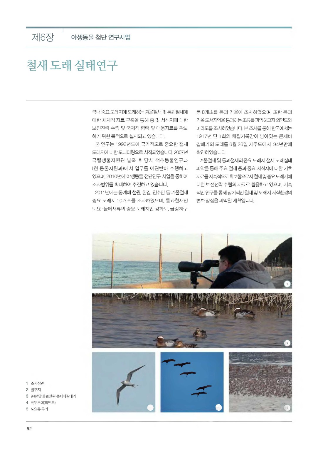 페이지