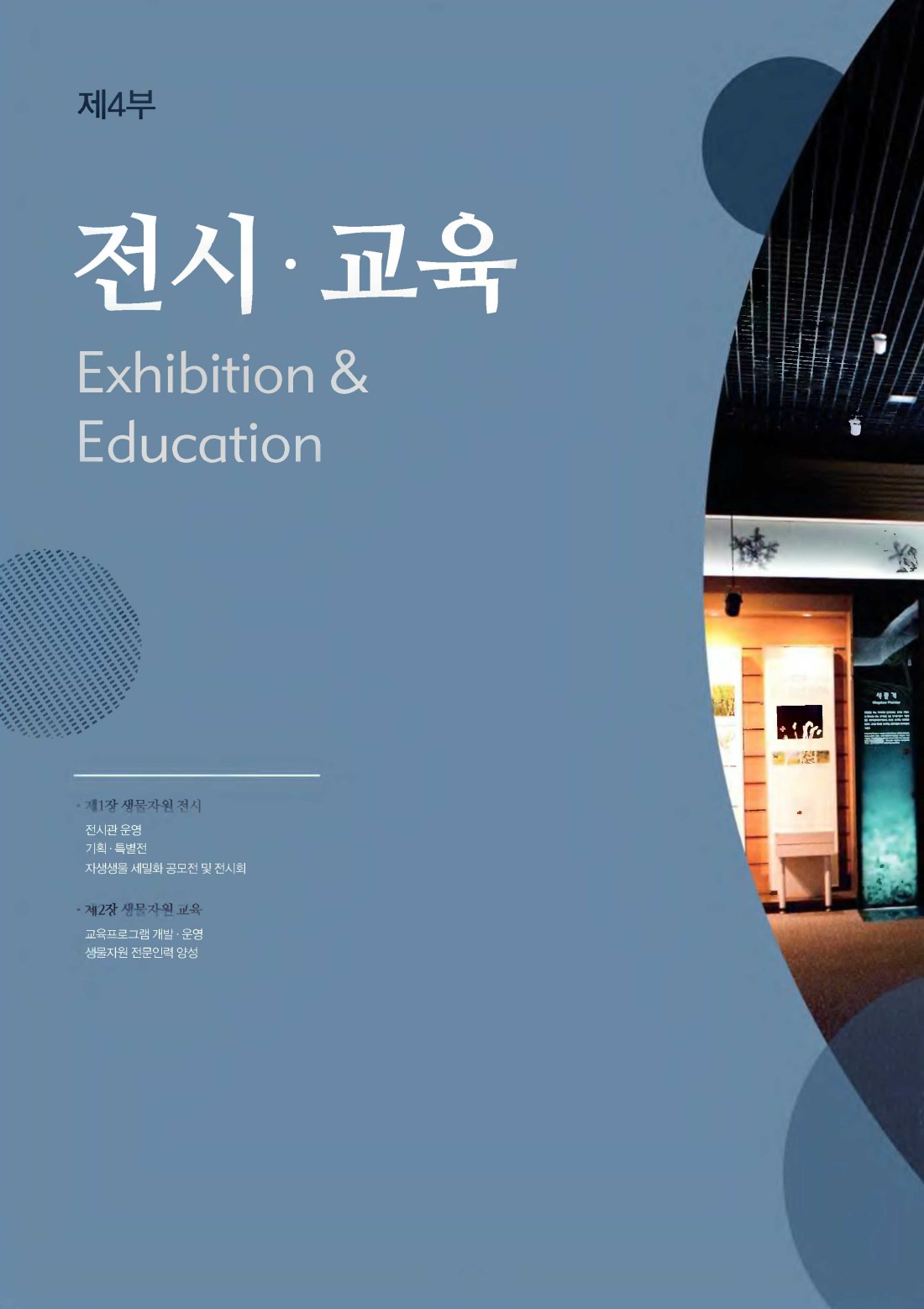 페이지