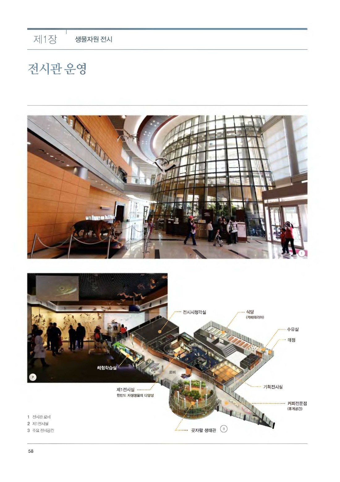 페이지