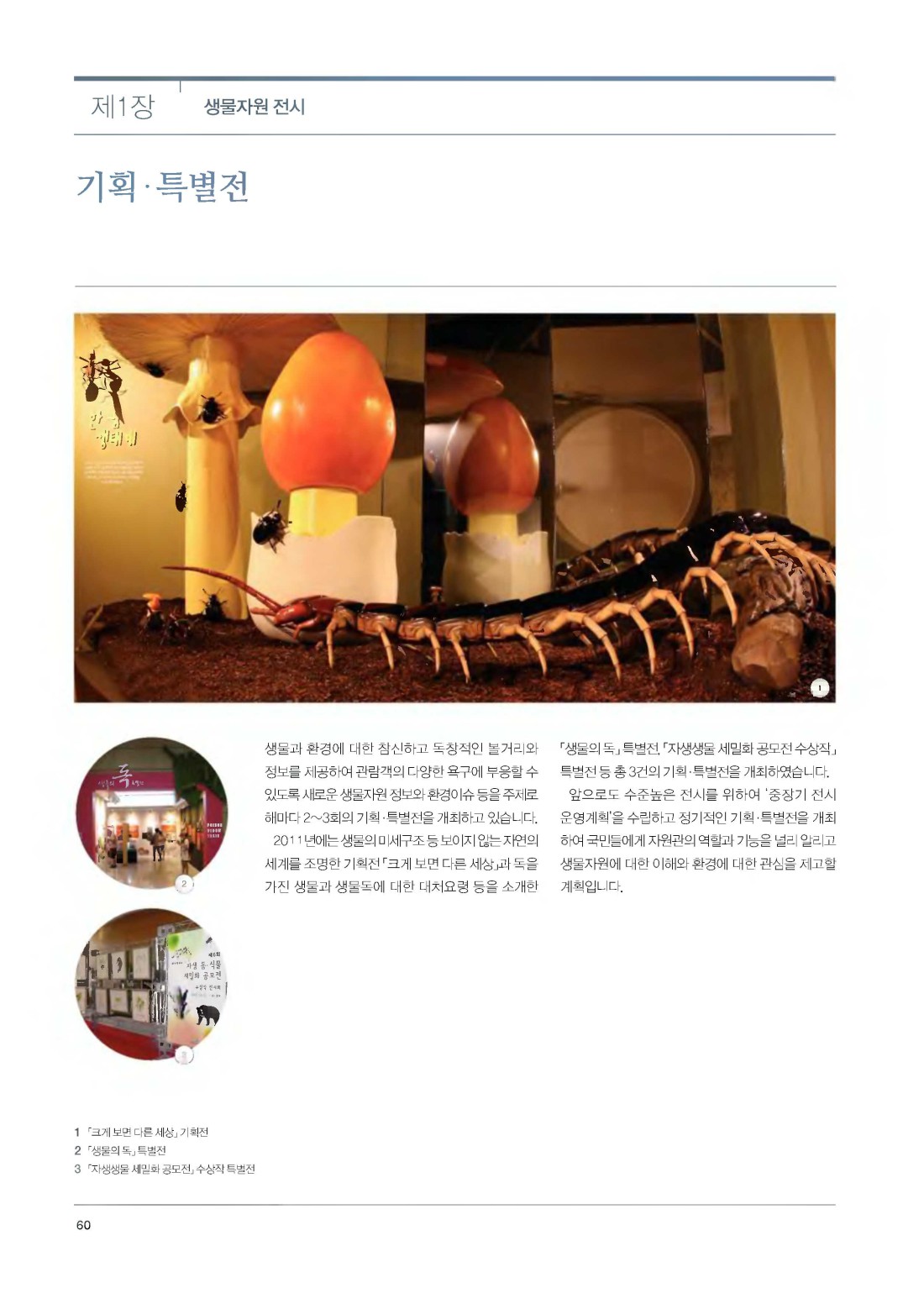 페이지