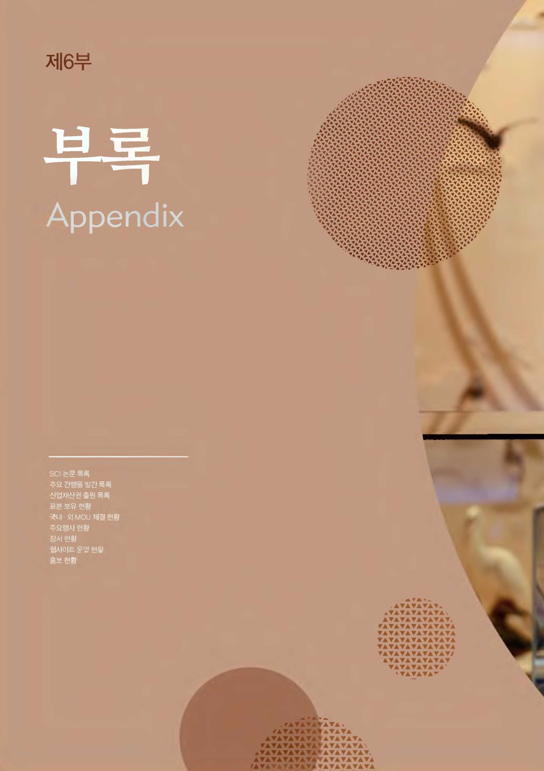 페이지