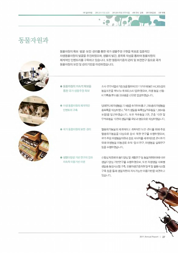 17페이지