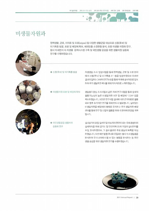 19페이지