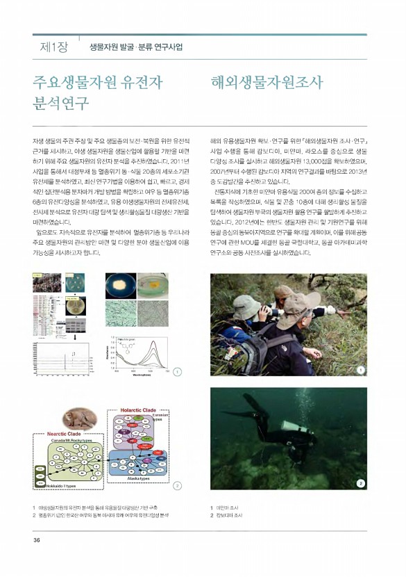 34페이지