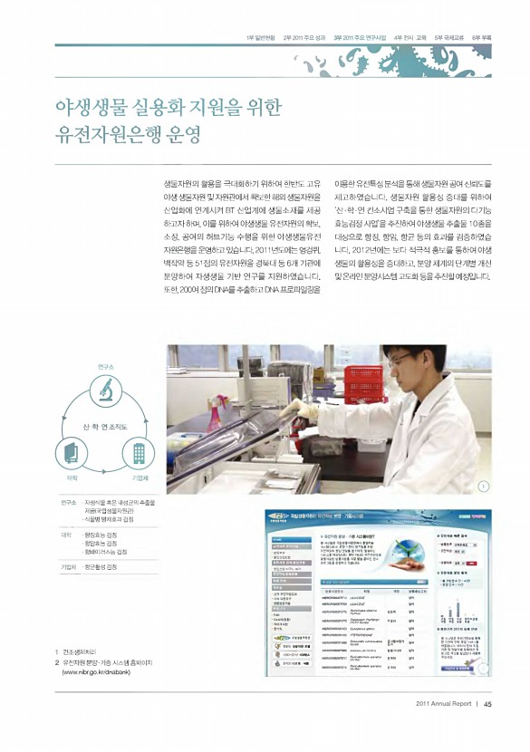 43페이지