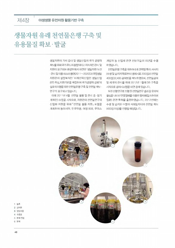 44페이지