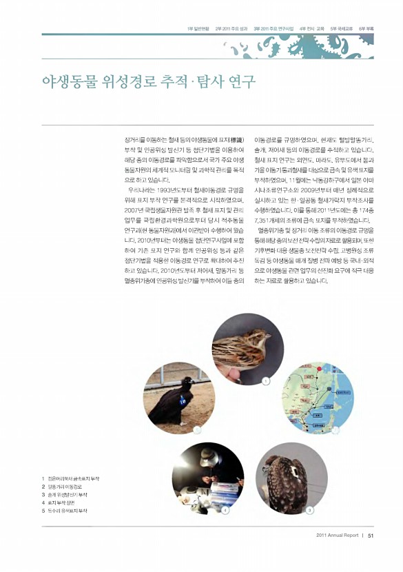 49페이지