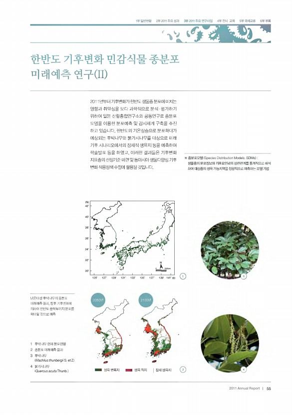 53페이지