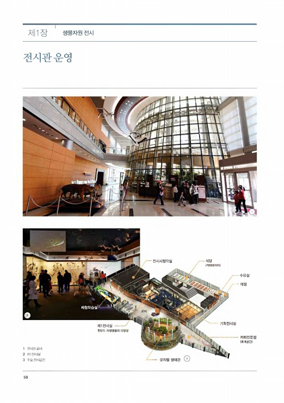 56페이지