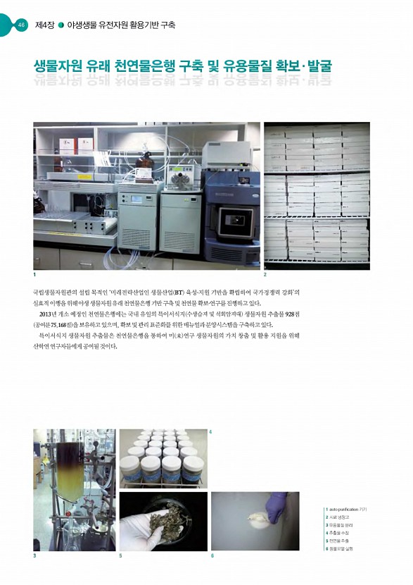 45페이지