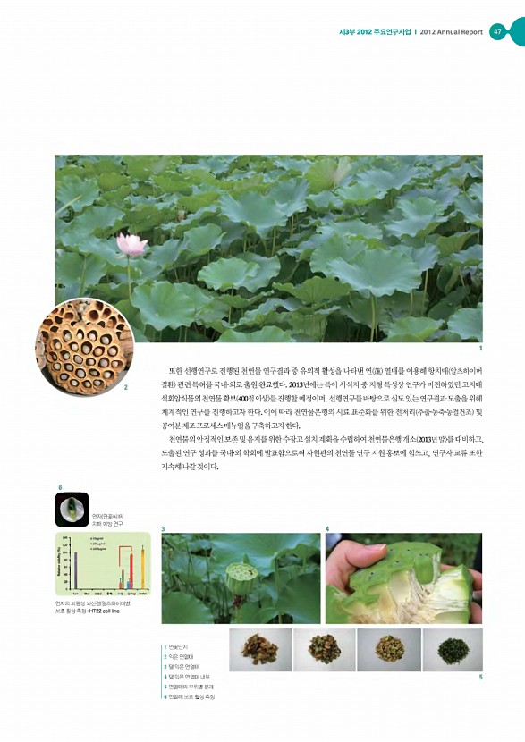 46페이지