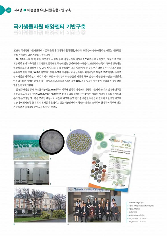 47페이지