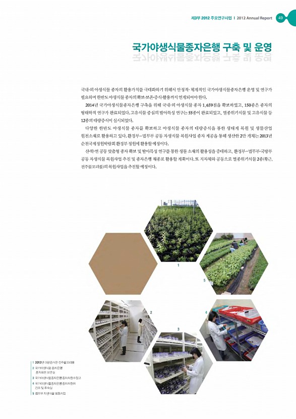 48페이지