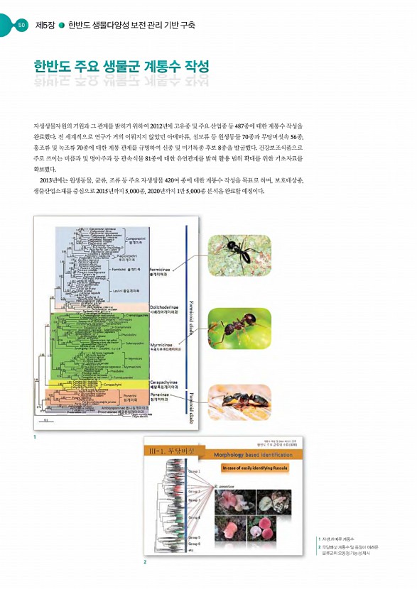 49페이지