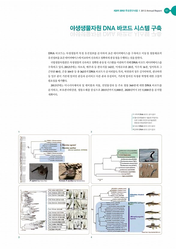 50페이지