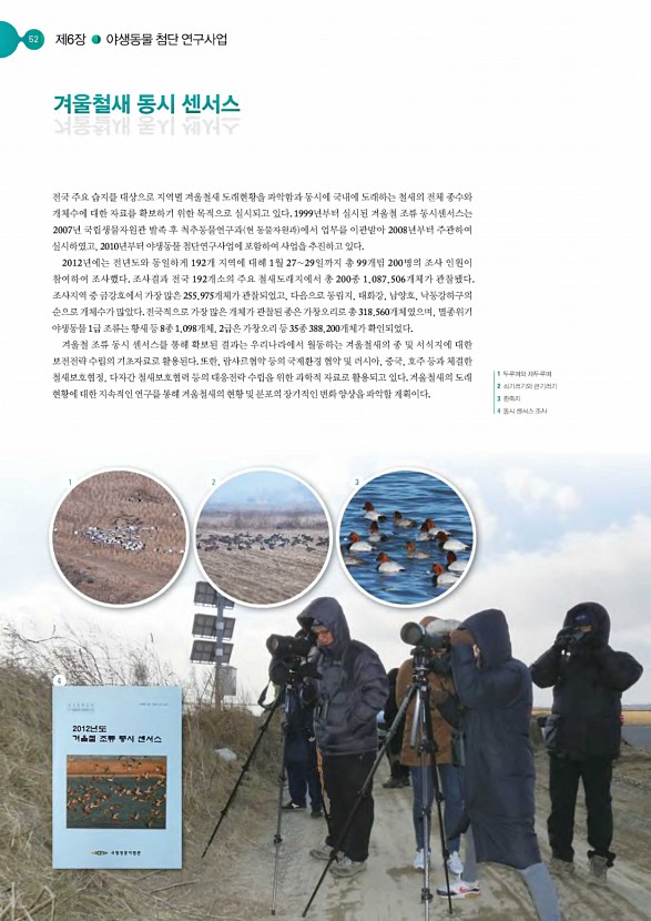 51페이지