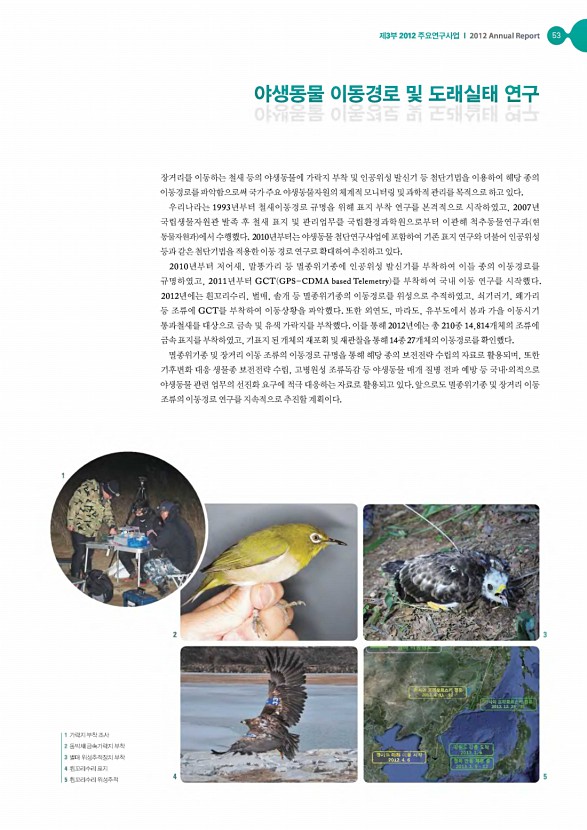 52페이지