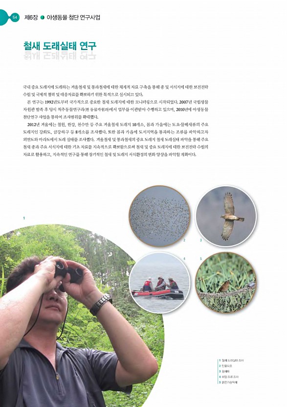 53페이지