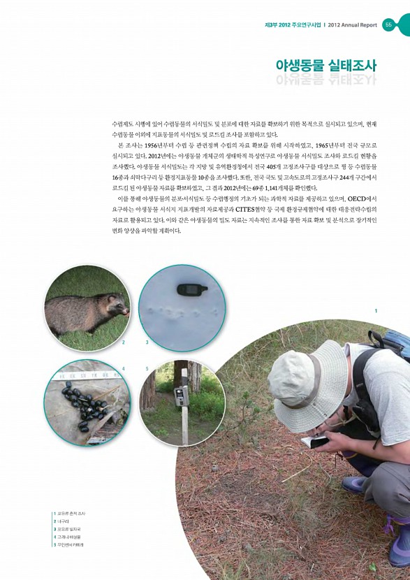 54페이지