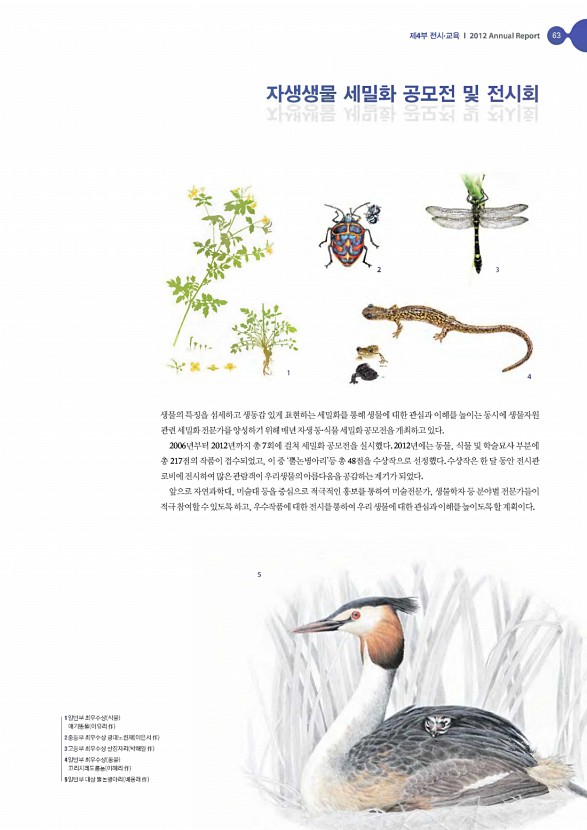 40페이지