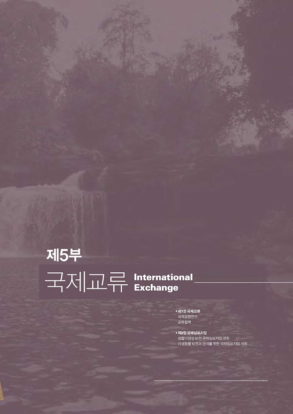46페이지