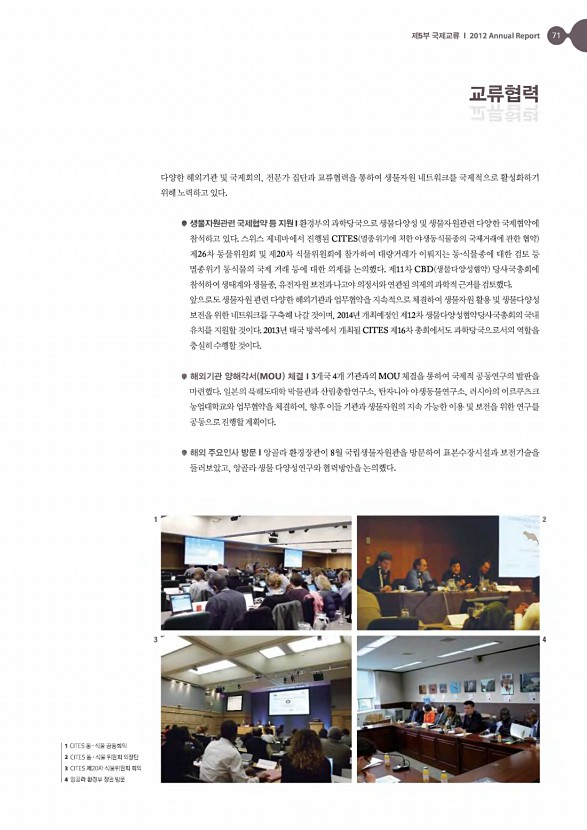 48페이지