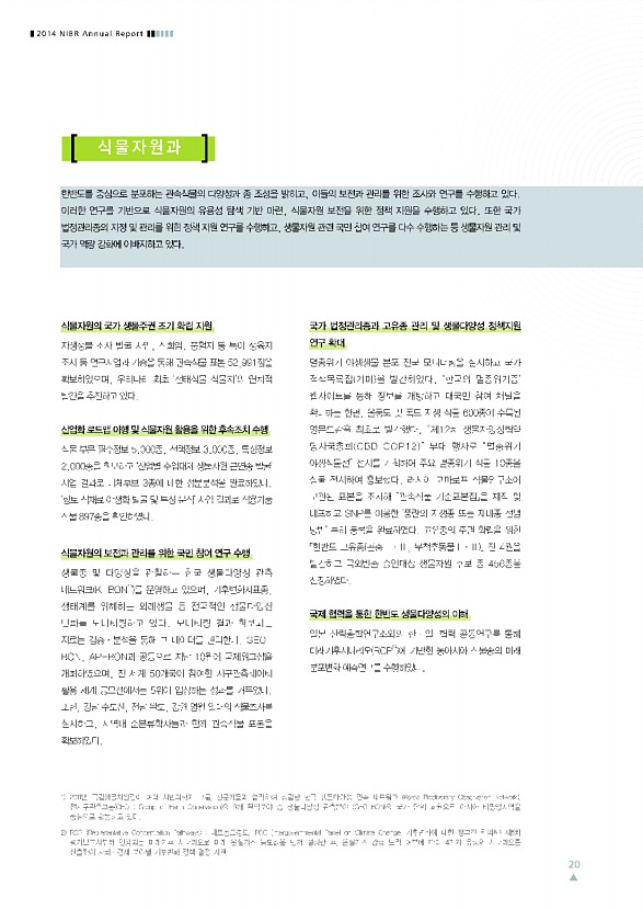 20페이지
