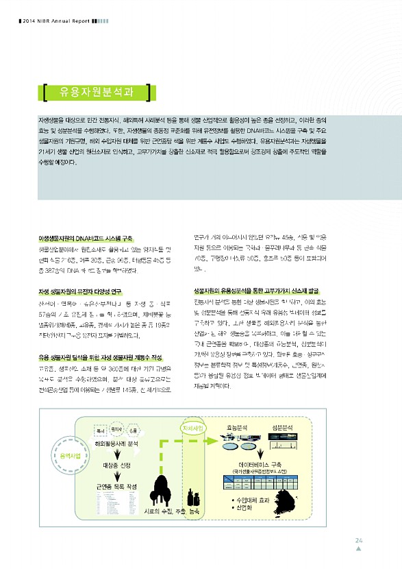 24페이지