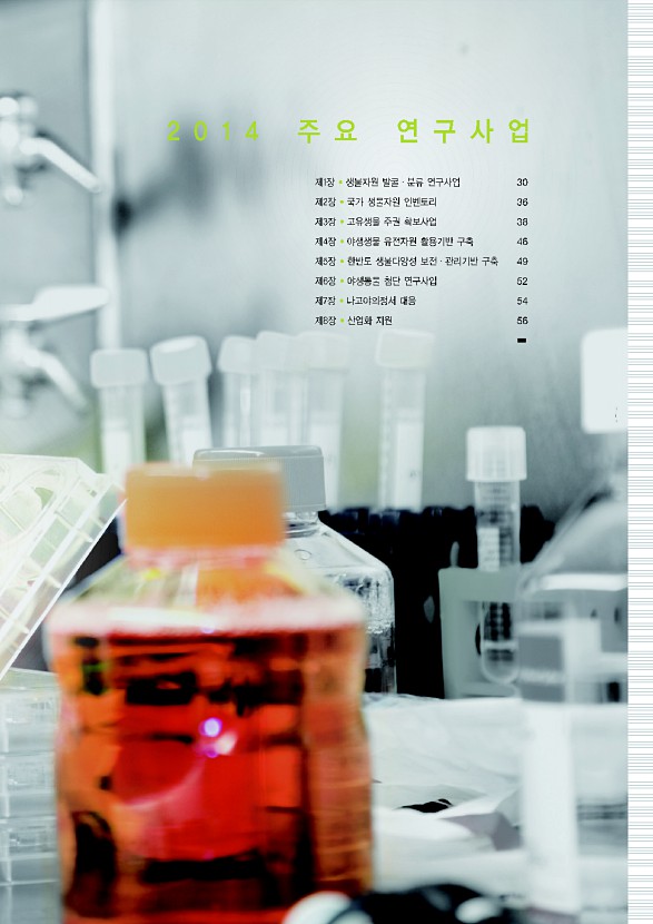 29페이지