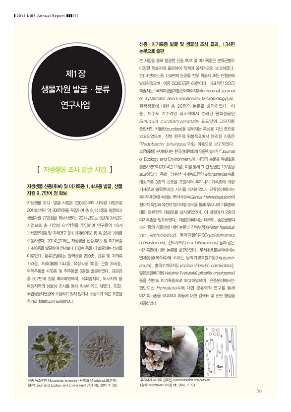 30페이지