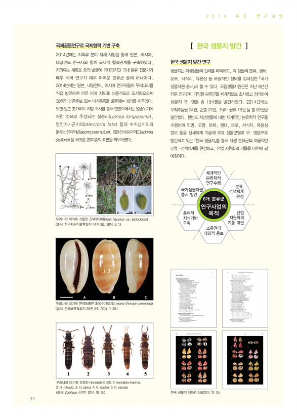 31페이지