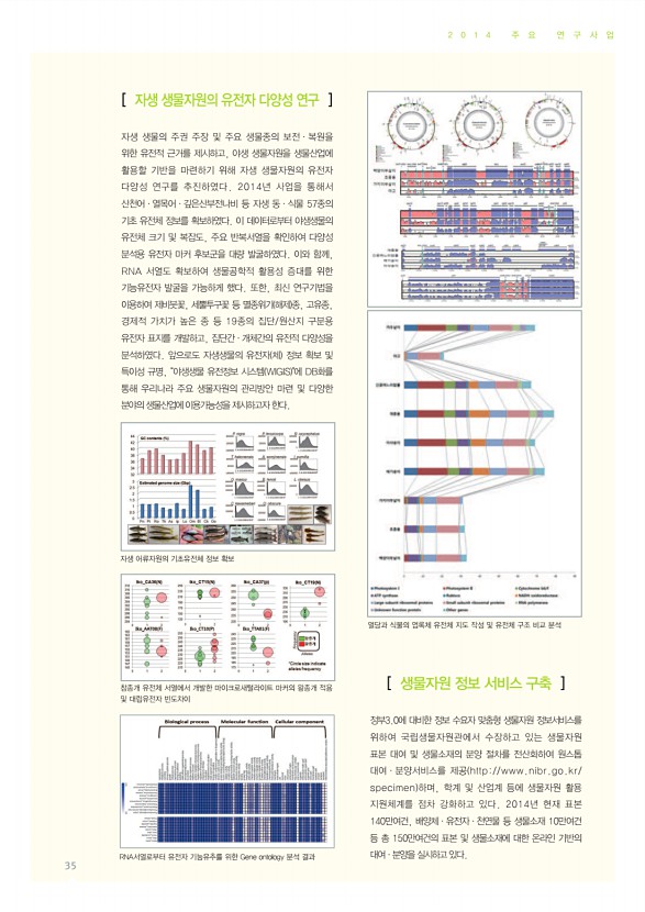 35페이지