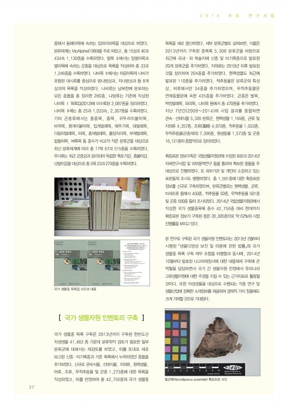 37페이지