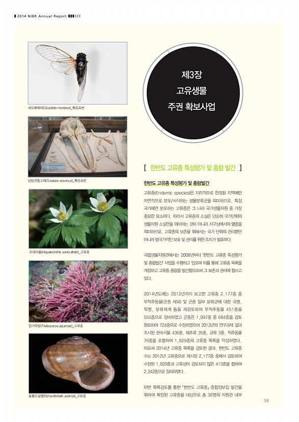 38페이지