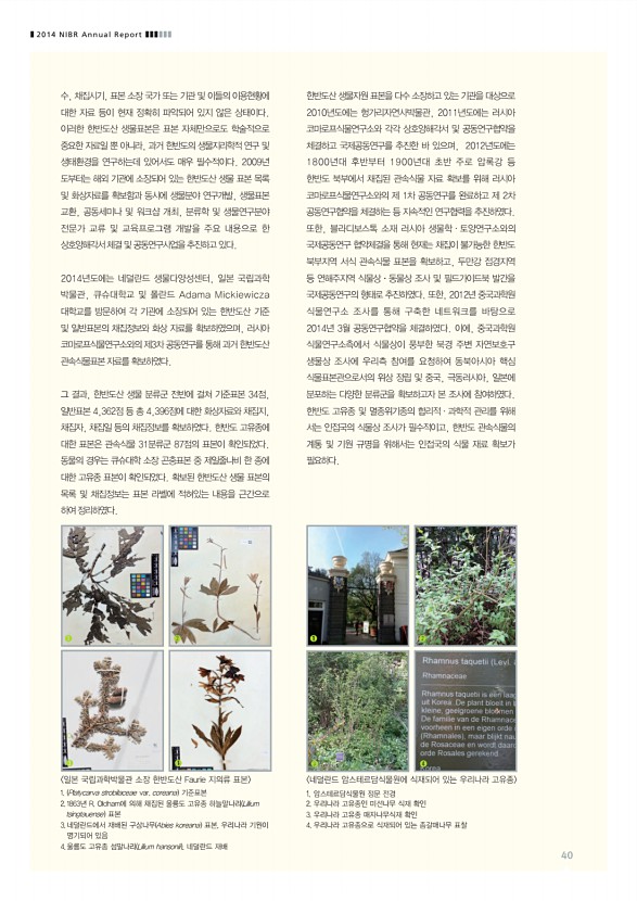 40페이지