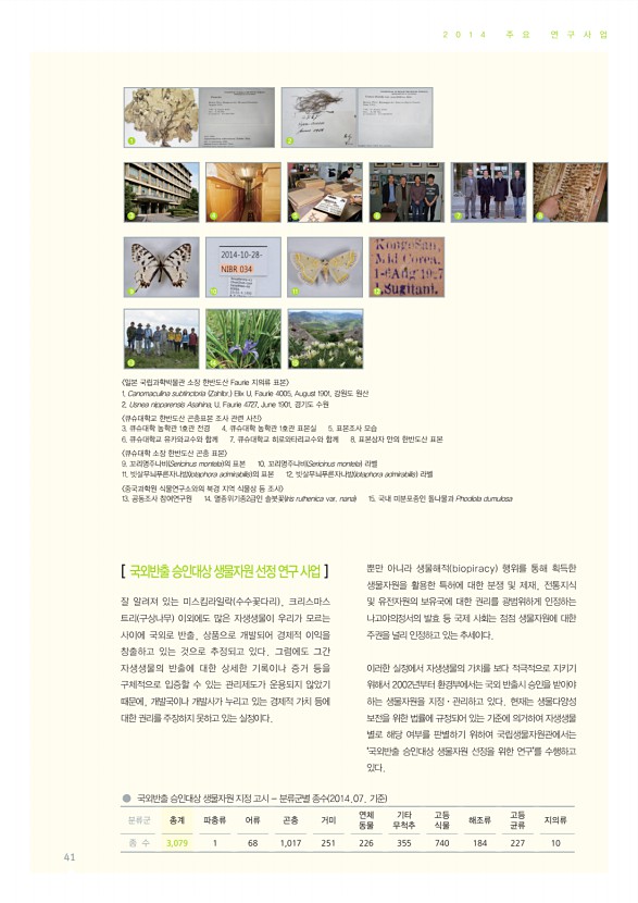 41페이지