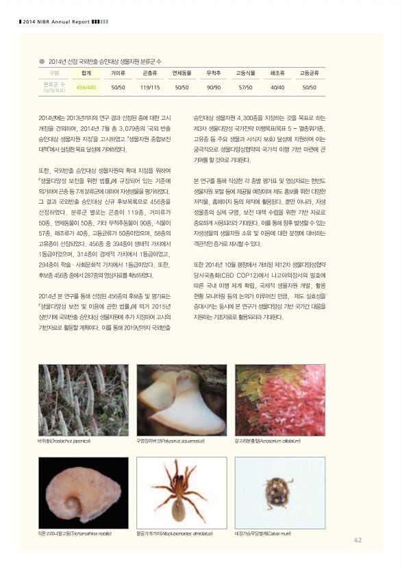 42페이지