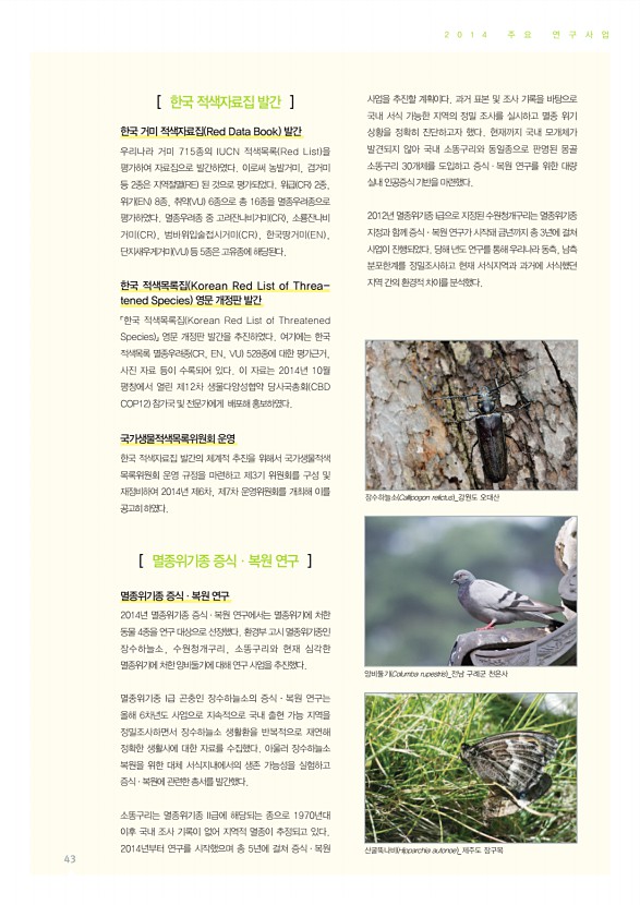 43페이지